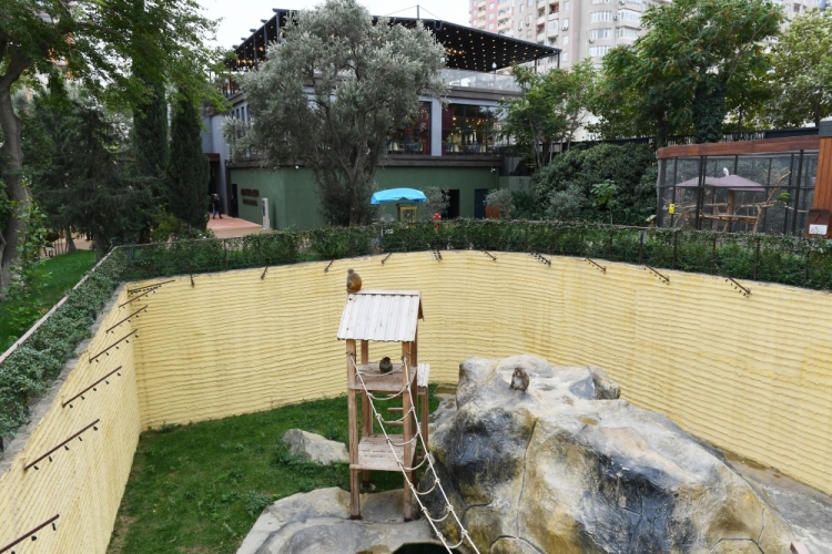 Bakı Zooloji Parkının yenidənqurmadan sonra açılışı olub -