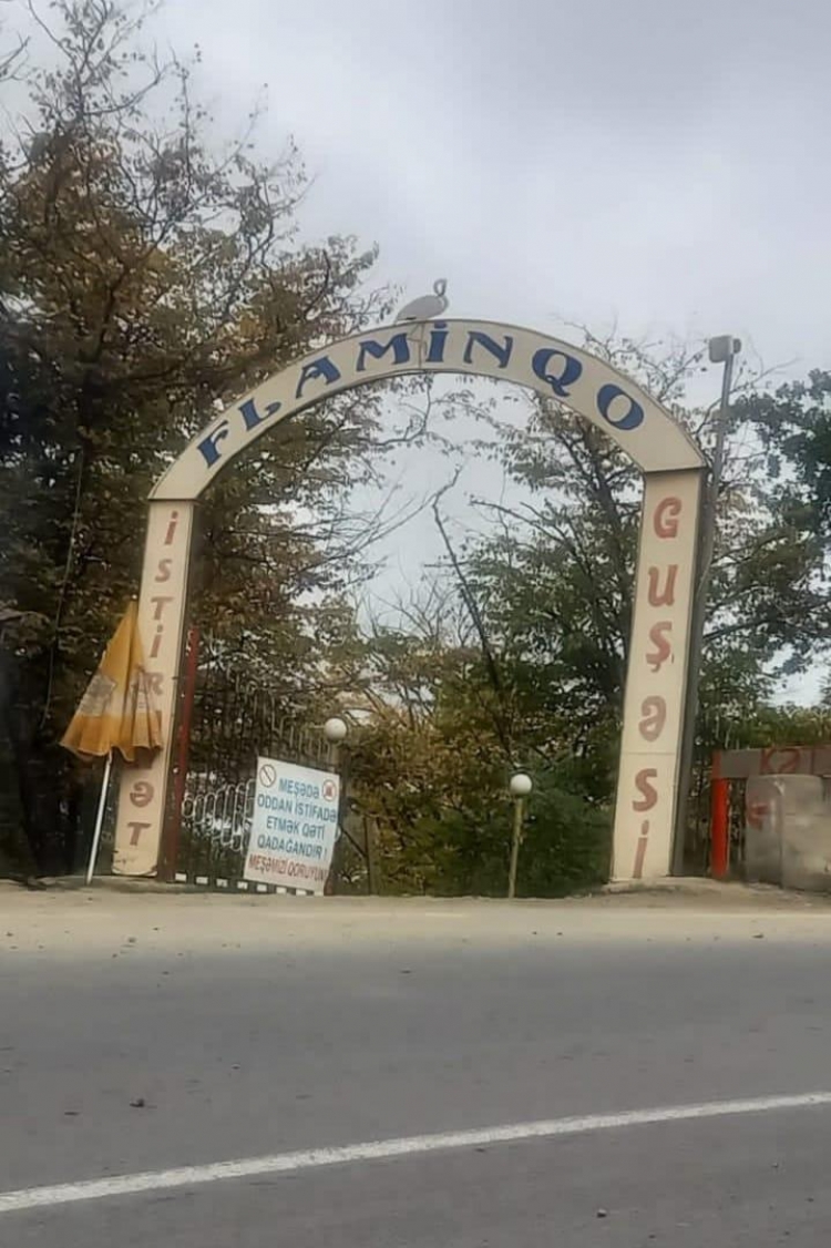 Göygöldə karantini pozan obyektin sahibi məsuliyyətə cəlb olunub