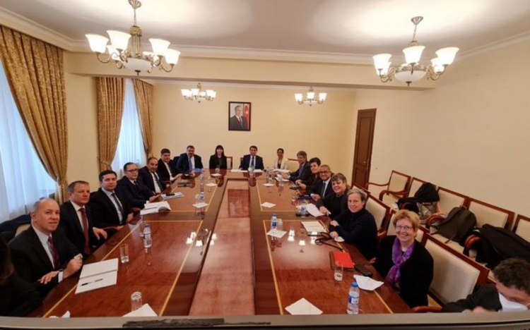 Hikmət Hacıyev: "Ağdam, Füzuli və Cəbrayıl rayonlarında Səhra missiyası həyata keçirilib"