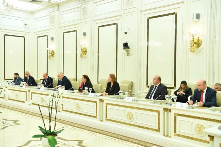 Sahibə Qafarova Albaniyanın Baş naziri ilə görüşüb -