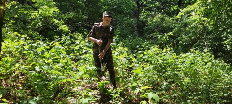 Zaqatala meşələrində axtarış –
