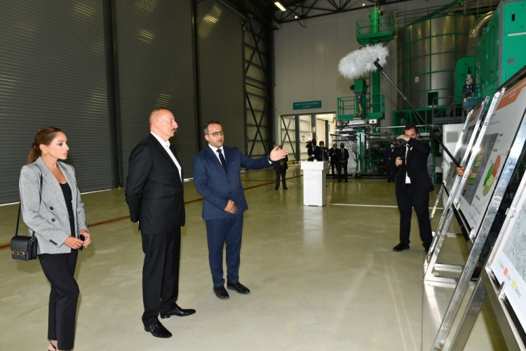 Prezident “Grand-Agro İnvitro” MMC-nin müəssisəsi ilə tanış olub