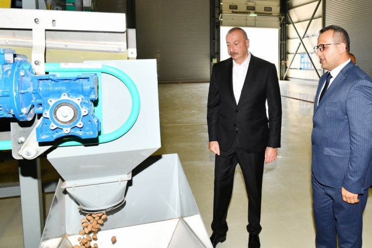 Prezident “Grand-Agro İnvitro” MMC-nin müəssisəsi ilə tanış olub