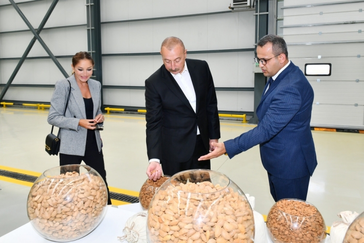 Prezident “Grand-Agro İnvitro” MMC-nin müəssisəsi ilə tanış olub