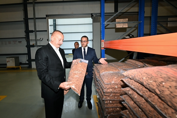 Prezident “Grand-Agro İnvitro” MMC-nin müəssisəsi ilə tanış olub