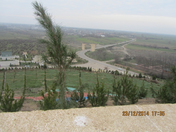 Sultanbud kurqanının acı taleyi -