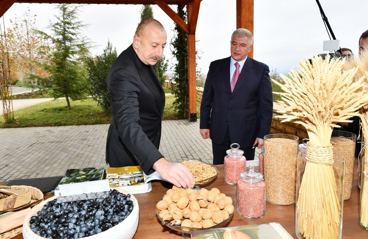 Prezident “Şəki-Oğuz” Aqroparkında yaradılan şəraitlə tanış olub -