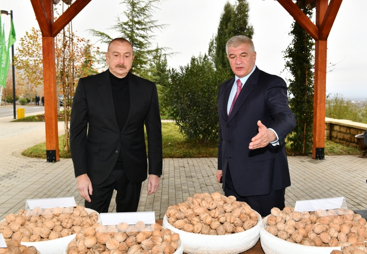 Prezident “Şəki-Oğuz” Aqroparkında yaradılan şəraitlə tanış olub -