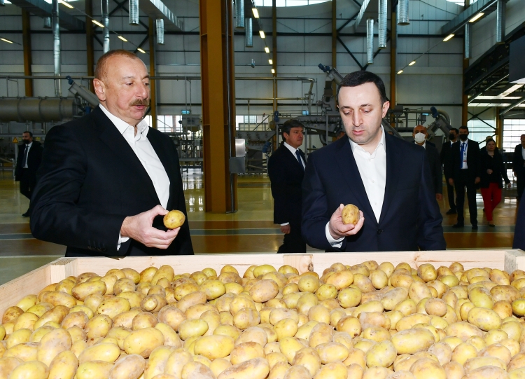 İlham Əliyev və İrakli Qaribaşvili Qəbələ Qida Şəhərciyində olublar -
