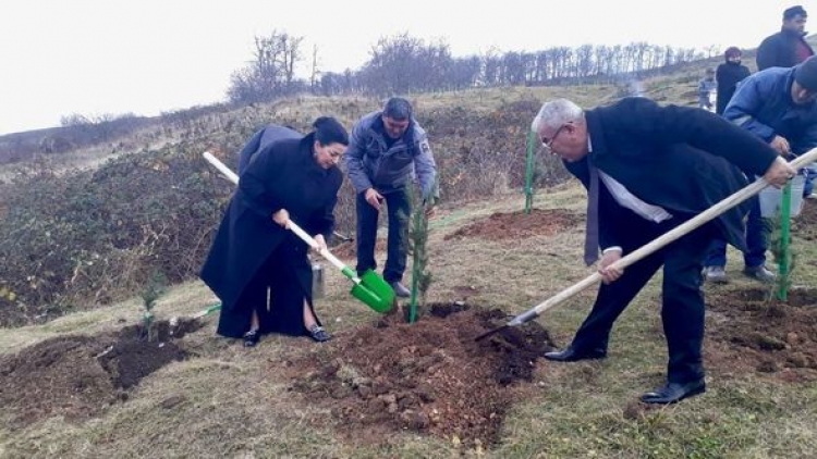 Göygöldə su hövzəsinə 1500-dən çox balıq körpəsi buraxılıb