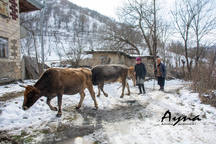 Qaragünlü Ağbaşlar və qaranlıqdan haray: “Azərişıq”, burdayıq, burda –