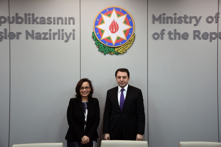 Azərbaycan-Braziliya siyasi məsləhətləşmələri baş tutub -