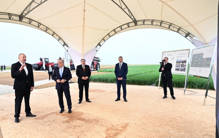 Prezident İlham Əliyev Hacıqabul rayonunda olub -