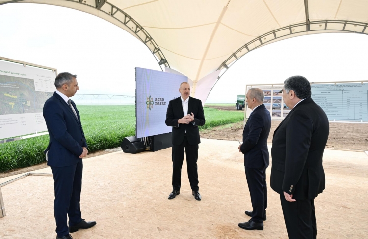 Prezident İlham Əliyev Hacıqabul rayonunda olub -