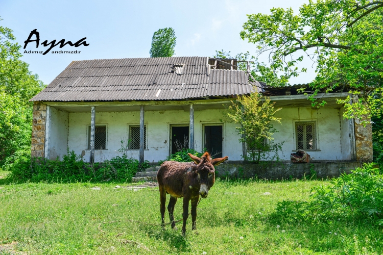Himnimizin müəllifinin “evi”: lələ köçüb, yurdu qalmayıb –