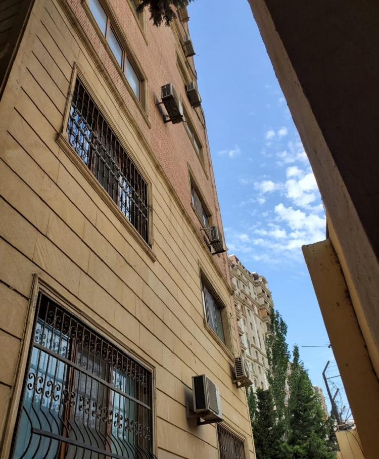 Bakıda “əjdaha” peyda olub: nə qanun tanıyır, nə insaf -