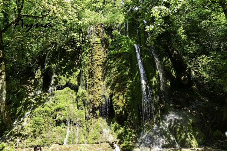 Cənnətdən bir damcı "oğurluq" -