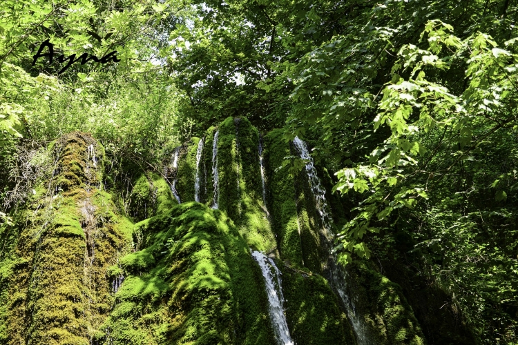 Cənnətdən bir damcı "oğurluq" -
