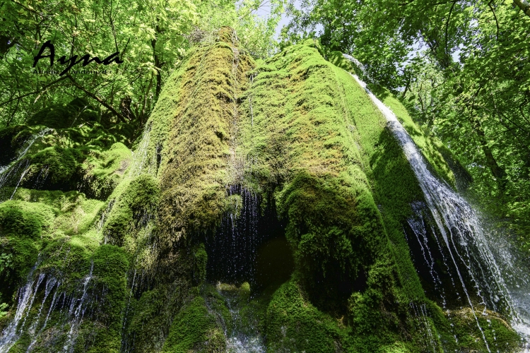 Cənnətdən bir damcı "oğurluq" -