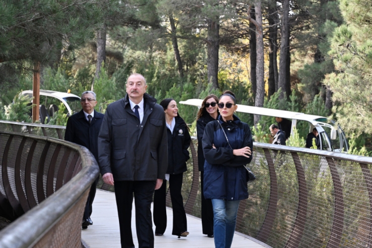 Prezident Mərkəzi Nəbatat Bağının açılışında iştirak edib -