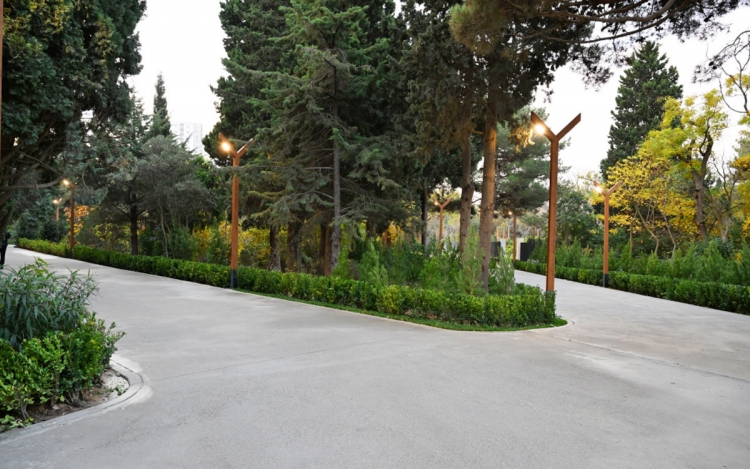 Bakıdakı Mərkəzi Nəbatat Bağından