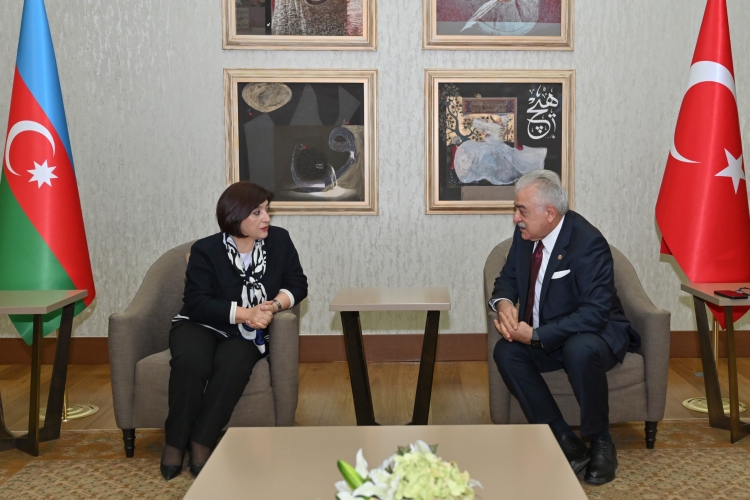 Sahibə Qafarova Türkiyəyə səfər edib