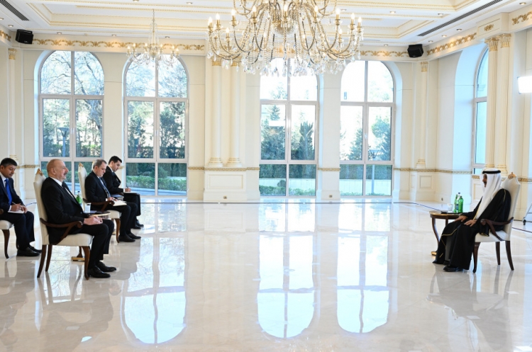 Prezident iki yeni səfirin etimadnaməsini qəbul edib