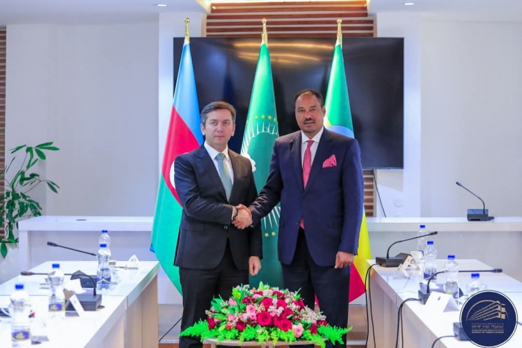 Yalçın Rəfiyev Efiopiyada səfərdə olub