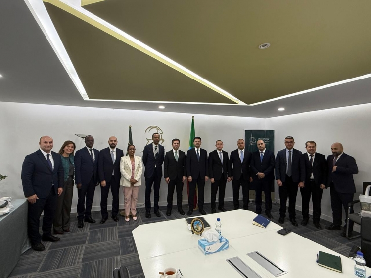 Yalçın Rəfiyev Efiopiyada səfərdə olub