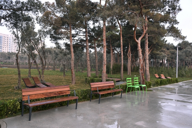 Bakının mərkəzində yeni yaradıla parkdan