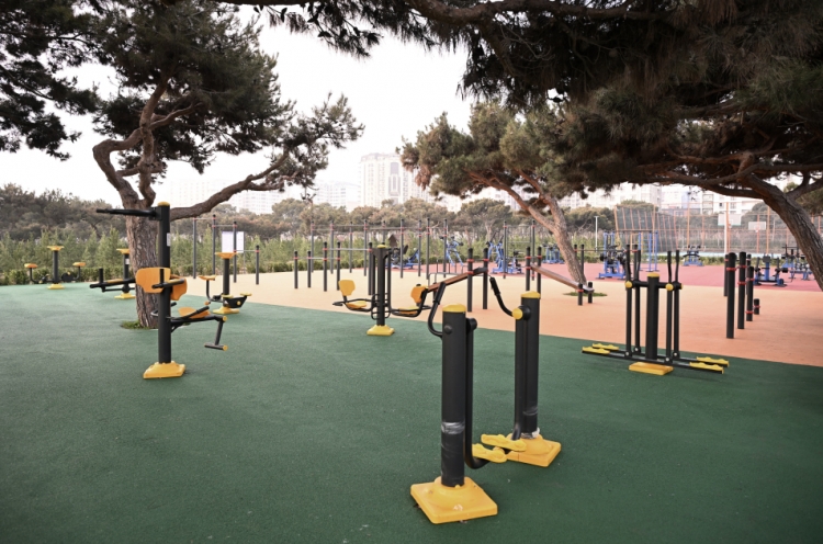Bakının mərkəzində yeni yaradıla parkdan
