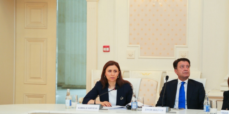 “İnzibati müqavilə və ondan irəli gələn mübahisələrə baxılmasının xüsusiyyətləri” mövzusu müzakirə olunub -