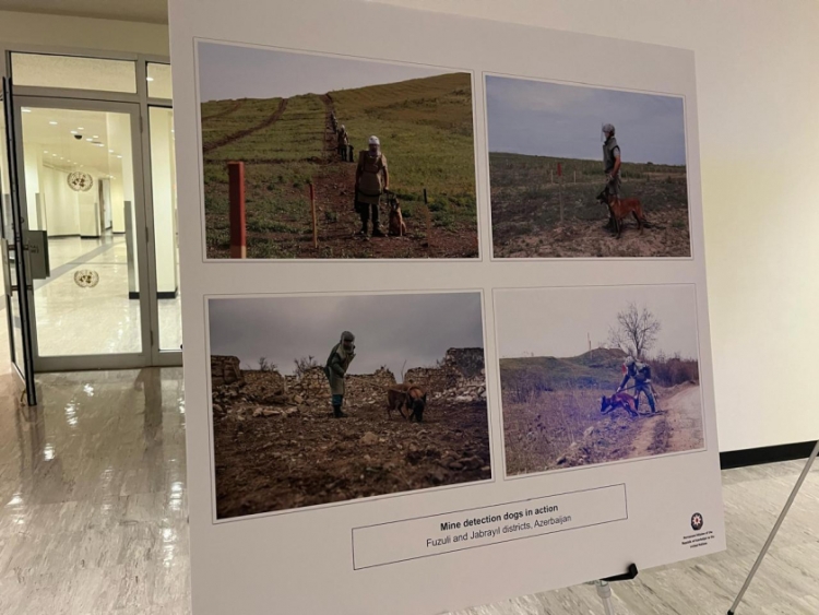 BMT-də Azərbaycanda minatəmizləməyə həsr olunmuş fotosərgi açılıb