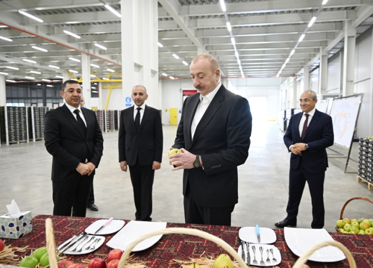 Prezident Qusara gedib -