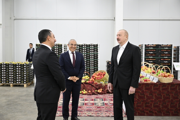 Prezident Qusara gedib -