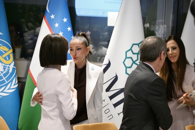Mehriban Əliyeva BMT Baş Assambleyası çərçivəsində xüsusi sessiyada iştirak edib -