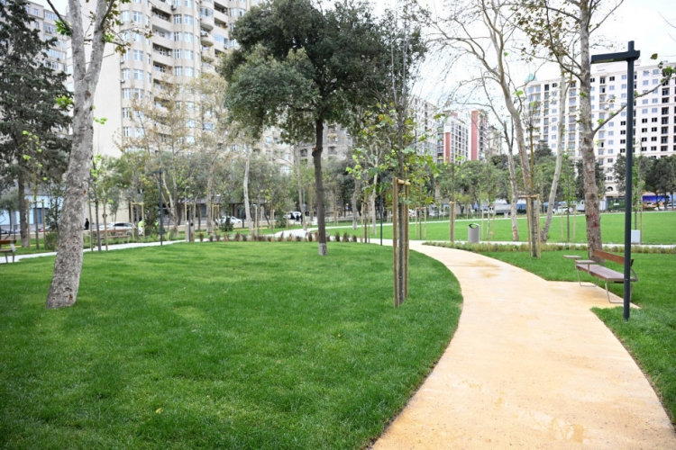 Bakıda yeni parkın açılışı olub -