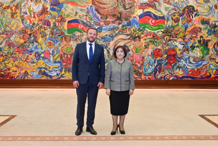 Sahibə Qafarova Estoniyanın xarici işlər naziri ilə görüşüb
