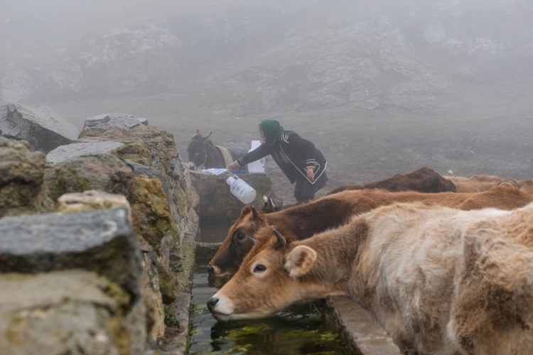 Azərbaycanda orta əsrlərdən boylanan kənd -