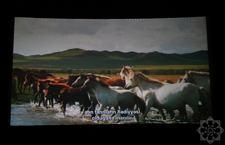 Nizami Kino Mərkəzində “At gücü” sənədli filmi təqdim olunub