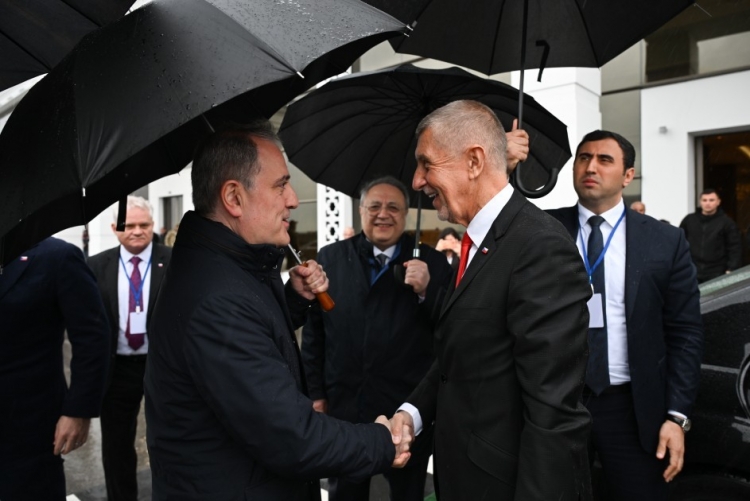 Babişin Azərbaycana səfəri başa çatıb